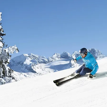 Hébergement de vacances Ferienhaus Gut - Eisenlehen Bad Goisern